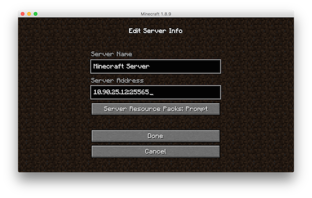 Minecraft Edit Server Info