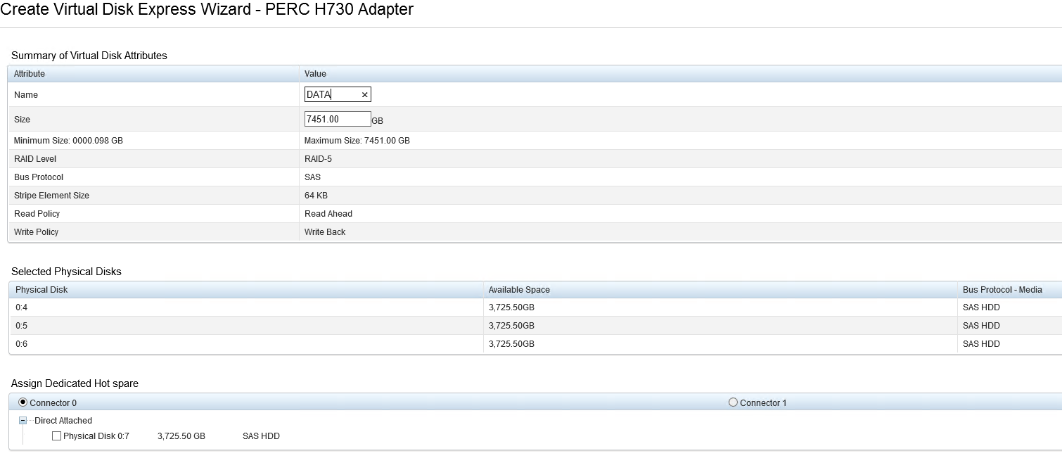 RAID virtual disk details