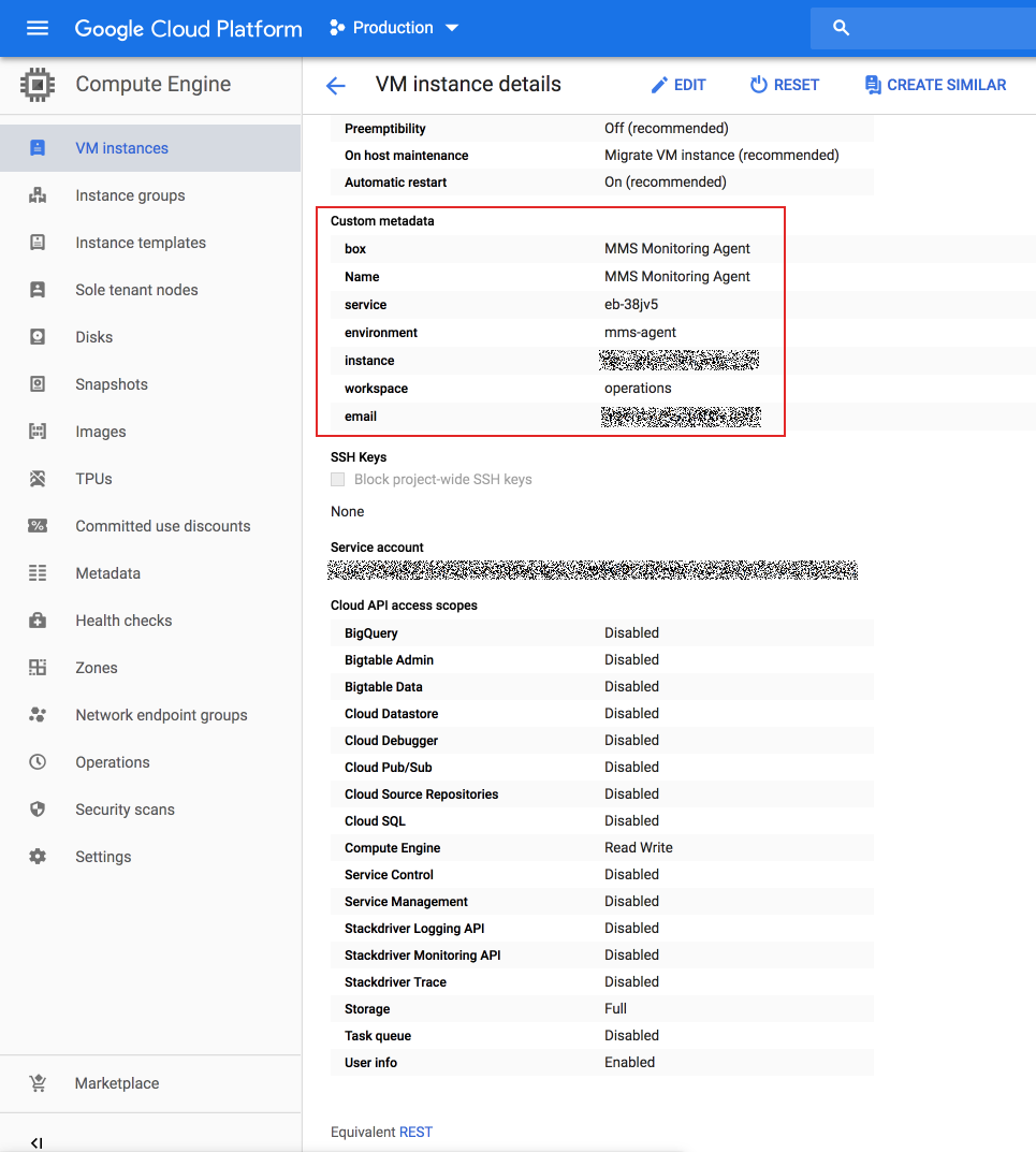 Google Compute Engine VM Instances