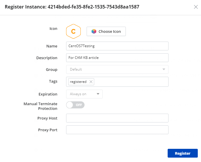 Name instance to be registered