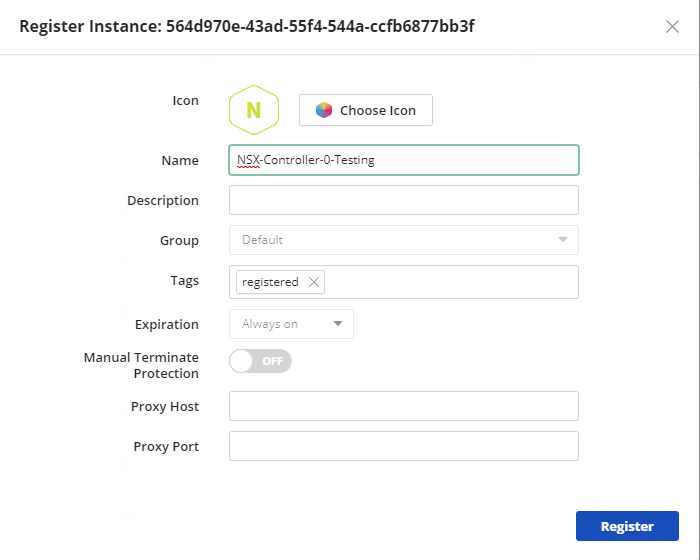 Name instance to be registered